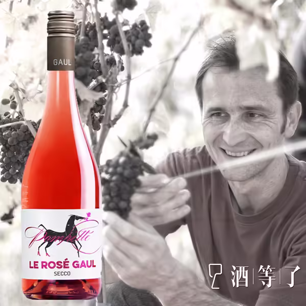 德國 法爾茲區 馬蒂亞斯酒莊 巫婆氣泡粉紅酒：圖片 2