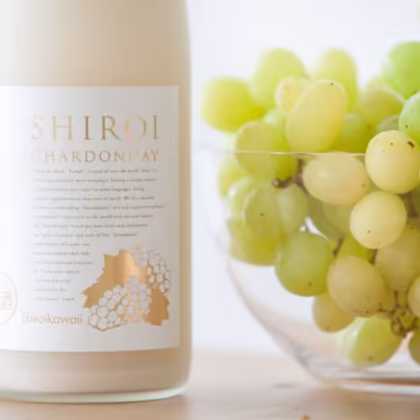 櫻尾 夏多內白葡萄奶酒 SHIROI KAWAII CHARDONNAY：圖片 2